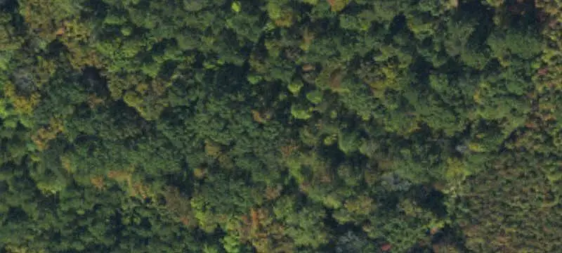 Commercial Land