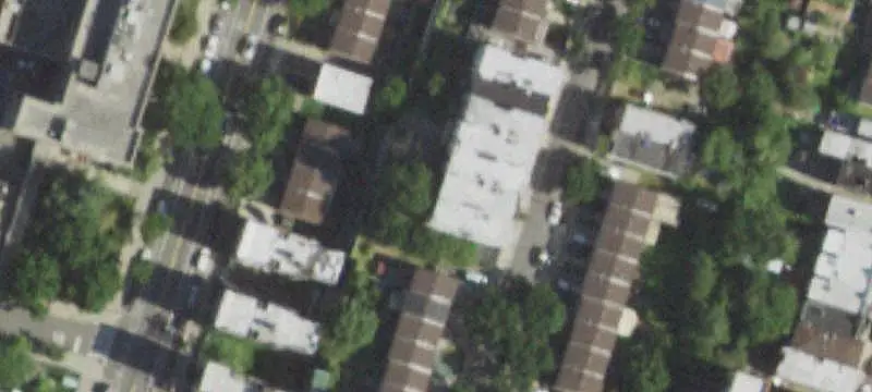 Triplex with Shared Backyard