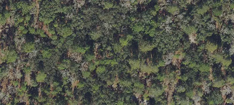 4.71-Acre Commercial Land