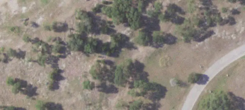 Land