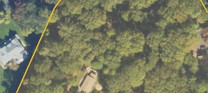 Wooded Land