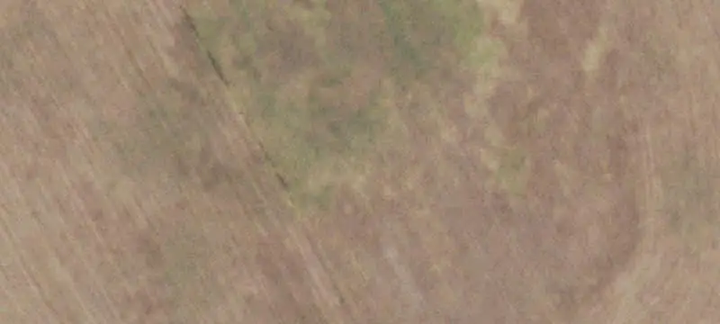Fenced Agricultural Land