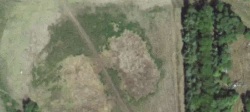 Agricultural Land with Hunting Habitat