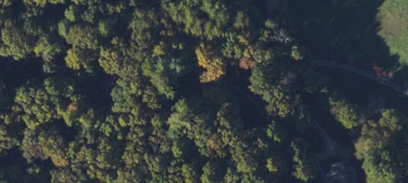 Land/Lot