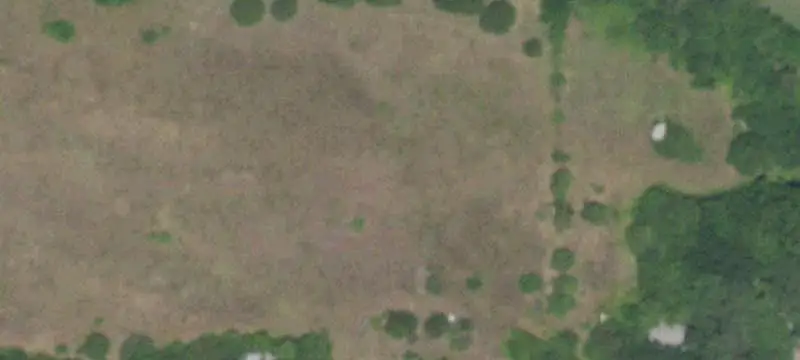 Wooded Agricultural Land
