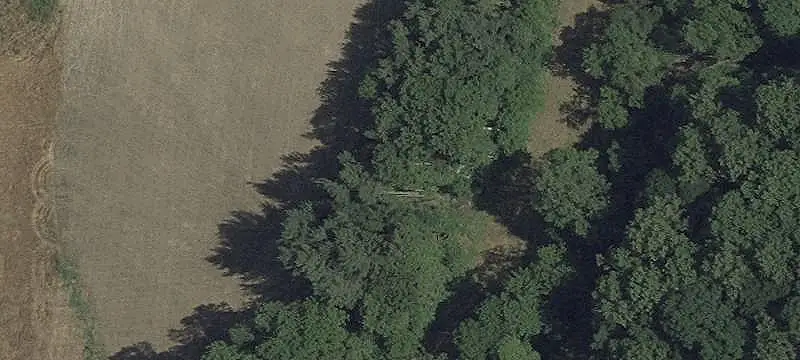 Unimproved Land