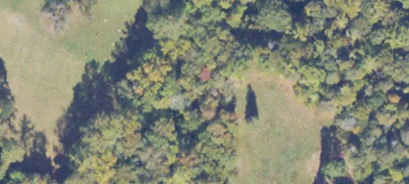 Wooded Land