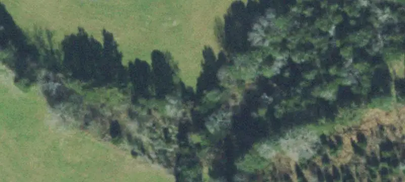 Farm