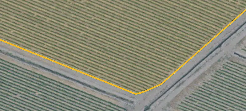 Agricultural Land