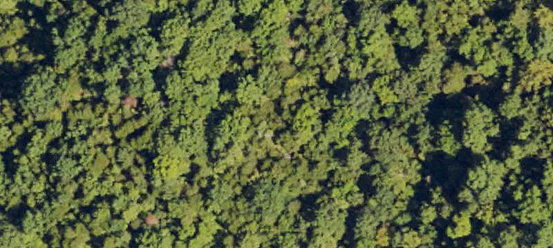 Hunting Land with Outbuildings