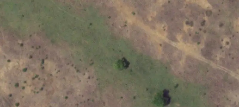 Ranch with Twin Silos