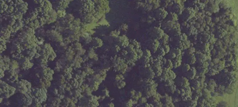 Unimproved Land