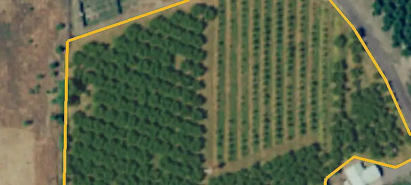 Cherry Orchard Farm