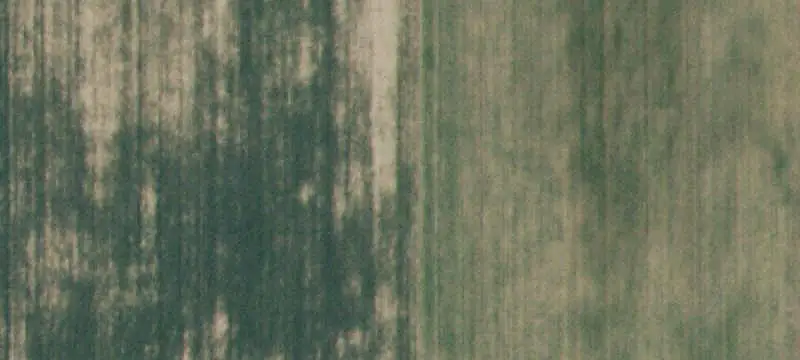 Farm with Irrigated Acreage