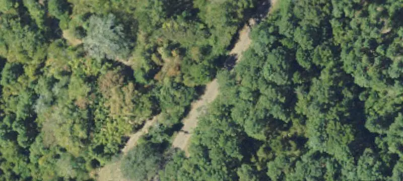 Hunting Land with Pasture