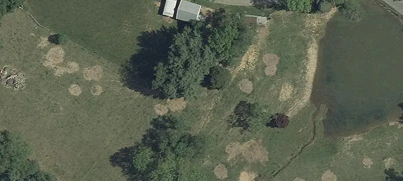 Fenced-Pasture Farm