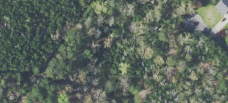 Land