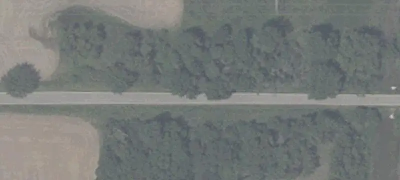 Equestrian Estate with Arena