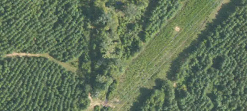 Land