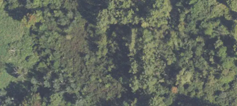 Hunting Land with Pond