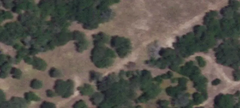 Ranch Property with Roping Arena