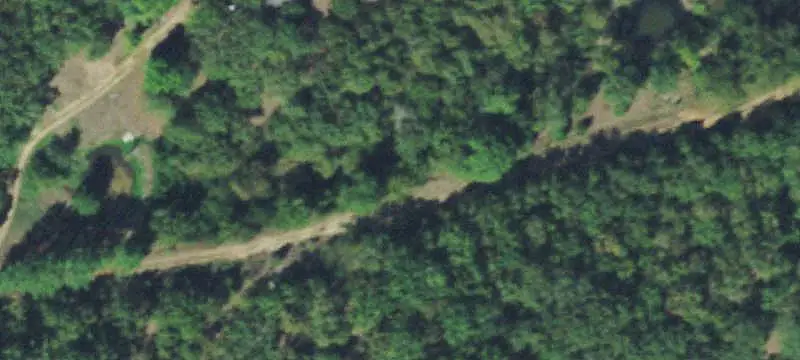 Wooded Land