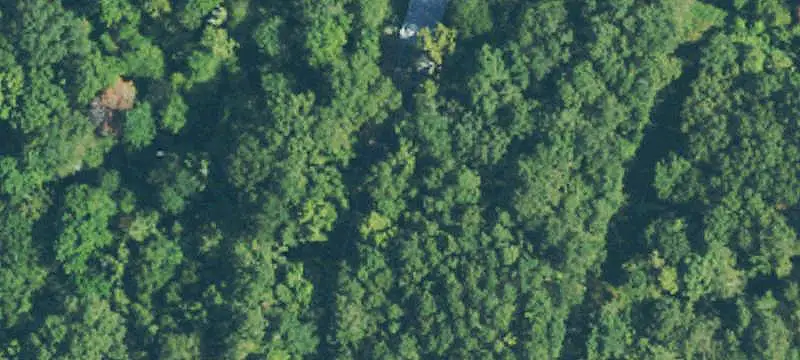 Agricultural Land with Country Home