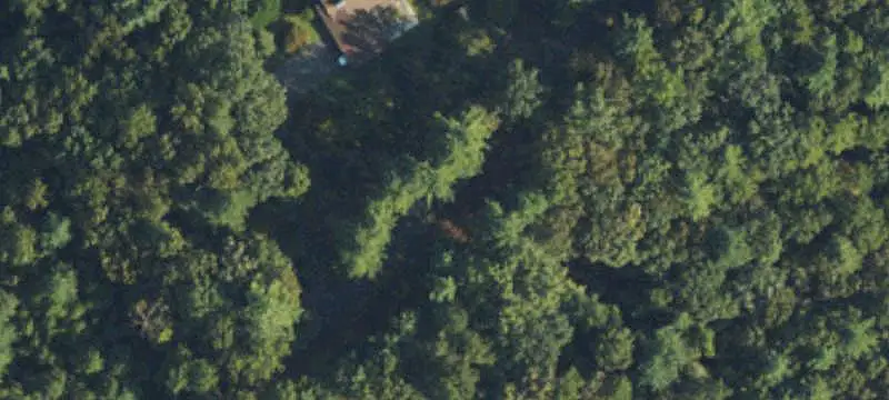 Wooded Land Parcel