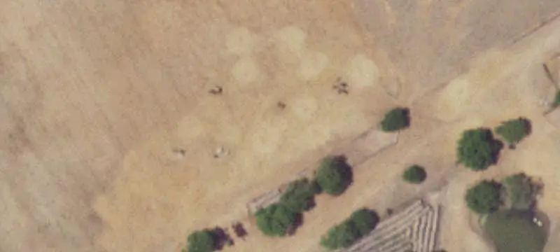 Cattle Ranch with Working Pens