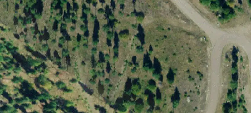 Unimproved Land
