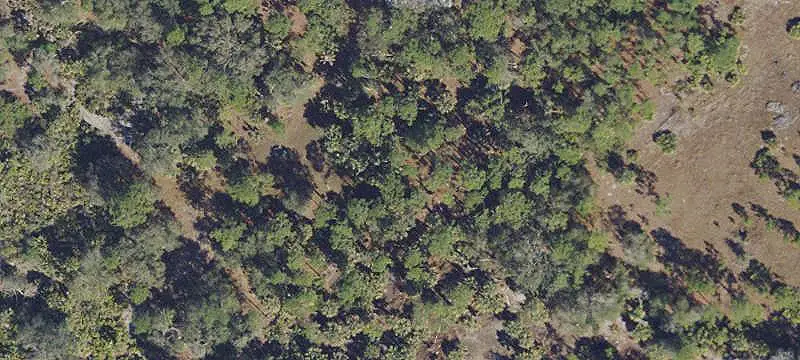 Land/Lot