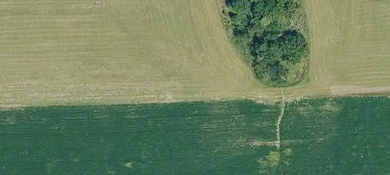 Farmland with Timber and Native Grass