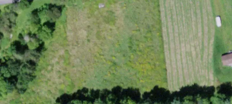 Scenic Land