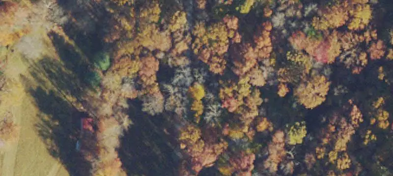 Recreational Land with Ridge-Top Sites