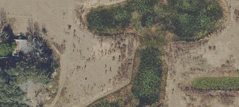 Agricultural Land with Residences