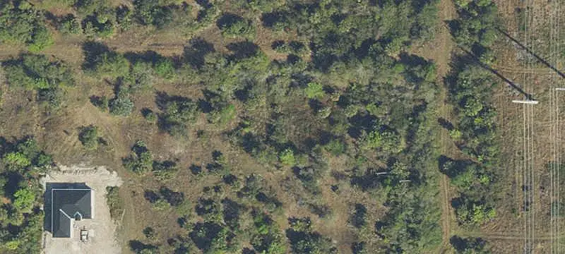 Land