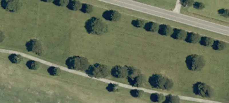 Land/Lot