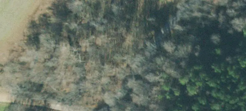 Agricultural Land