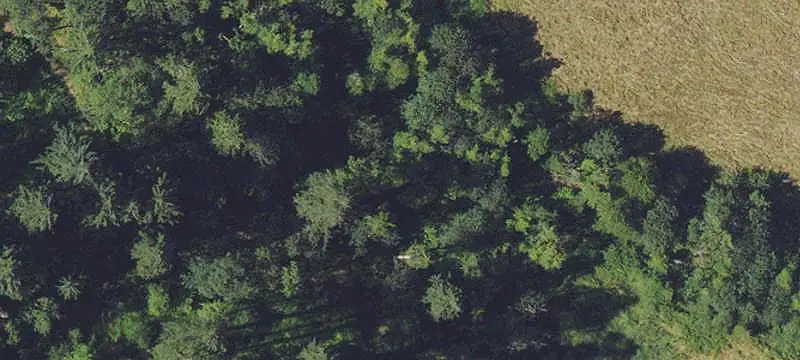 Two-Lot Commercial Land