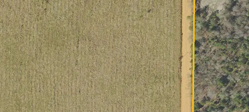 Land or Vacant Lot