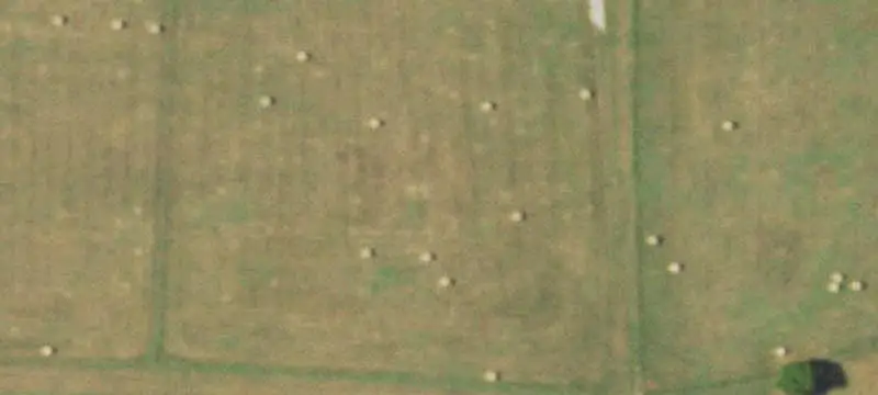 Timbered Land with Highway Frontage