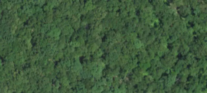 Hunting Land with Cabin