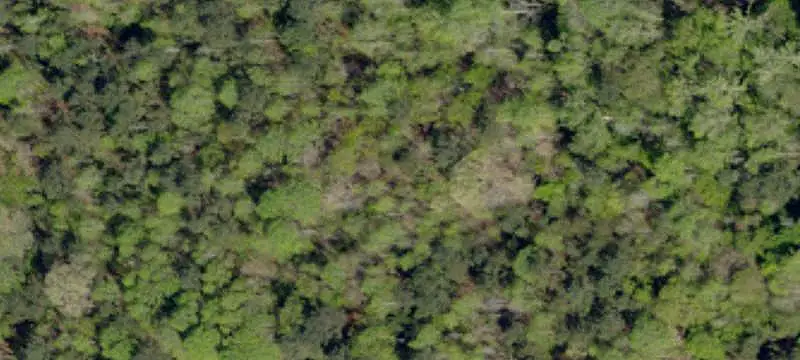 Residential Land