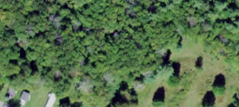Multifamily Compound with Cottages