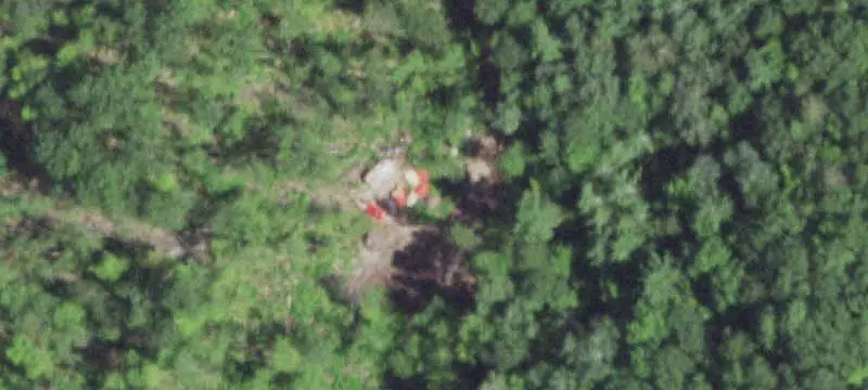 Wooded Acreage with Driveway