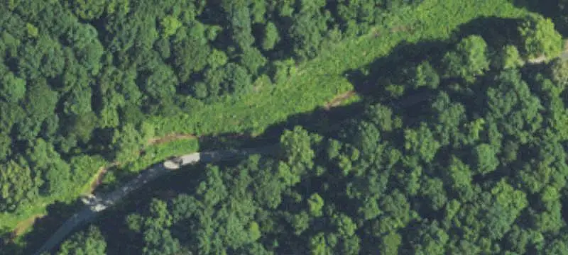 Wooded Hunting Land