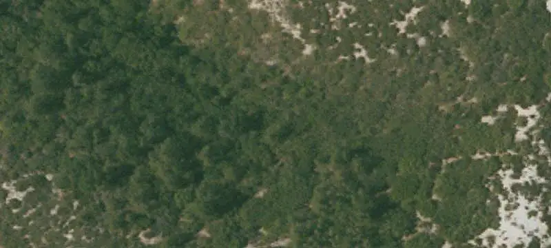 Commercial Land