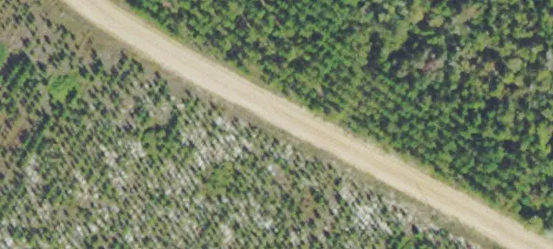 160-Acre Recreational Land