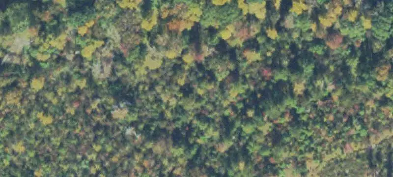 Unimproved Land