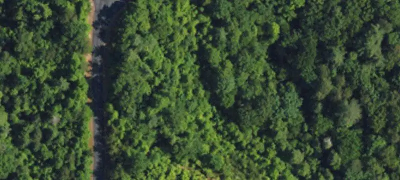 Vacant Land / Lots